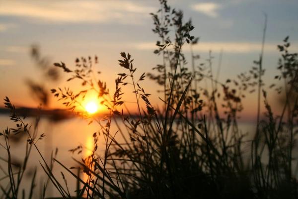 Vielen Dank an Brittany - Pexels