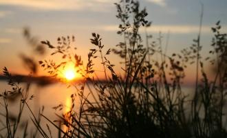 Vielen Dank an Brittany - Pexels